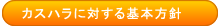 �J�X�^�}�[�n���X�����g�ɑ΂����{���j